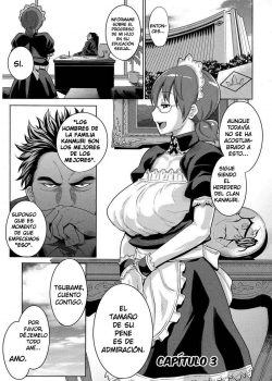 Maid x4 3