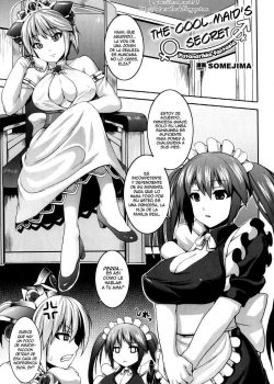 The Cool Maid’s Secret