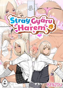 Harem de Gyarus Extraviadas #1